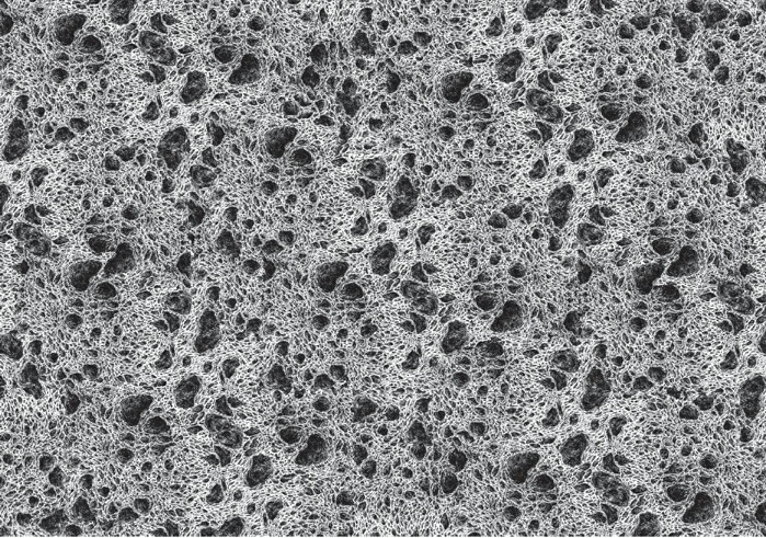 Fichier numérique à partir du dessin Pierre de lave © Anaïs Lelièvre 2020