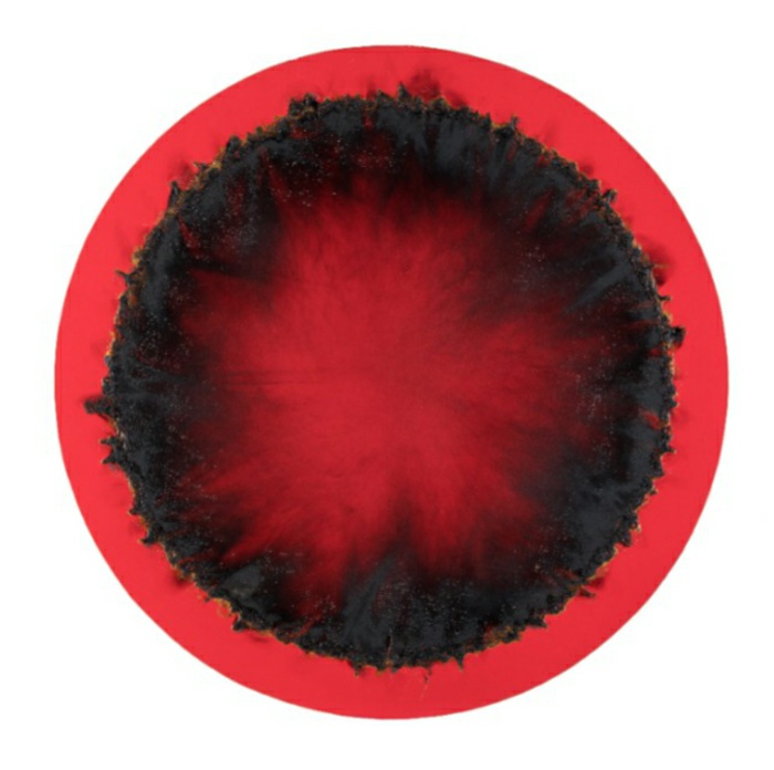 Christian Jaccard, Tondo BRN, 1991, gel thermique sur acrylique et bois. Musée Fabre de Montpellier Méditerranée Métropole, photographie Frédéric Jaulmes © Adagp, Paris, 2023