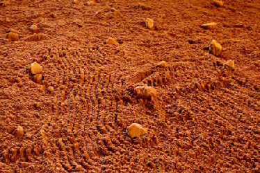 Richard Long, Champ d’ocre à la Chapelle Saint-Jacques, Avignon, 2011
